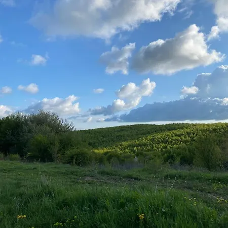 La Padurea Mica Carbunari (Caras-Severin)